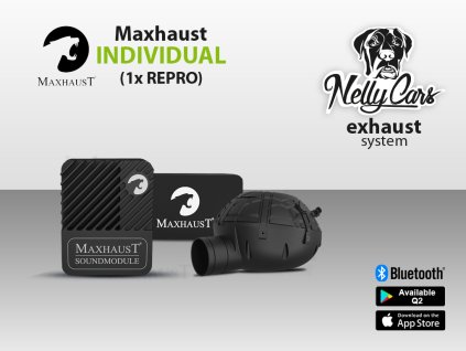 Max 1repro