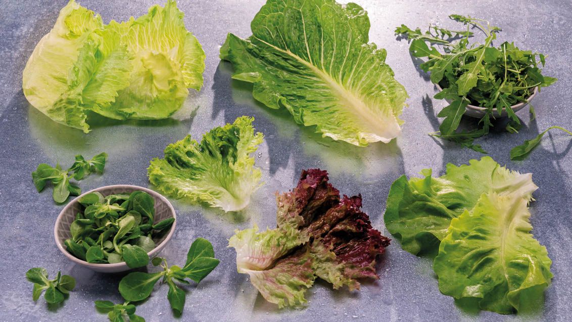 Zeleninové saláty: Cesta ke zdraví plná barev a textur