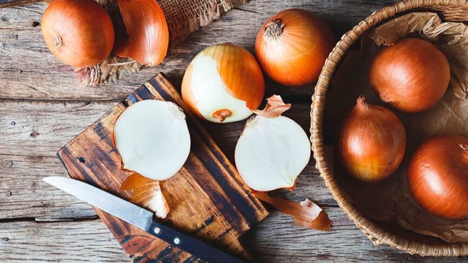 Cibule: Kulinářské využití a praktické tipy