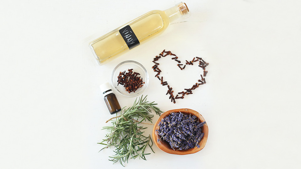 Jak se chránit před otravným hmyzem: Komáři, mouchy i mravenci