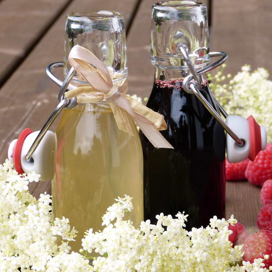 Černý bez – Zázračná rostlin plná chuti a zdraví