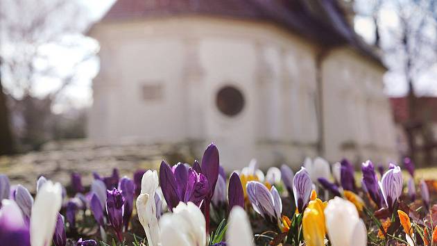 Svatý Josef s tváří milou končí zimu plnou…