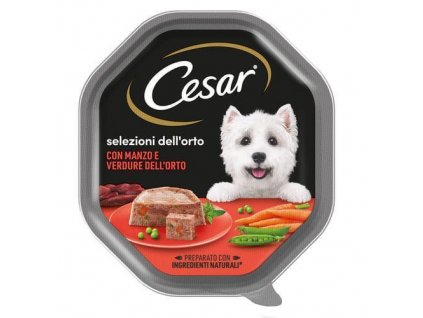 Cesar paštika pro psy - Verdurine 150 g  - originál z Německa