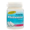 Woogie Whitemint žvýkačky, 64,4g