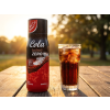 G&G Sirup p??chu? Cola Zero 500 ml / 4311501709955