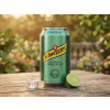 Schweppes Ginger Ale 330 ml / 5740700994654