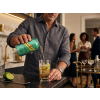 Schweppes Ginger Ale 330 ml / 5740700994654