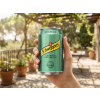 Schweppes Ginger Ale 330 ml / 5740700994654