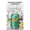 Schweppes Ginger Ale 330 ml / 5740700994654