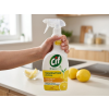 Cif Greenactive kuchyňský odmašťovač - v ruce