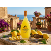 Bottega Limoncino / 8005829514006