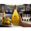 Bottega Limoncino / 8005829514006
