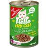 G&G Krocan v omáčce konzerva pro kočky 415g