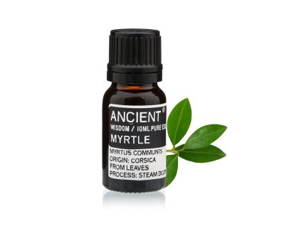 C13D016E 1BB2 416F BB93 7B3FDC0938FF