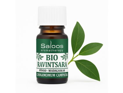 88E0D5C7 0938 4837 AAE5 9293E7B3EAAF