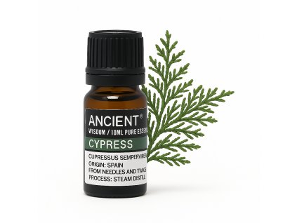 A2B2DC12 9539 45A7 9FFA F379B47D44F0