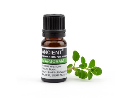 23077189 988D 43BA 827A 754F0E1C8D18