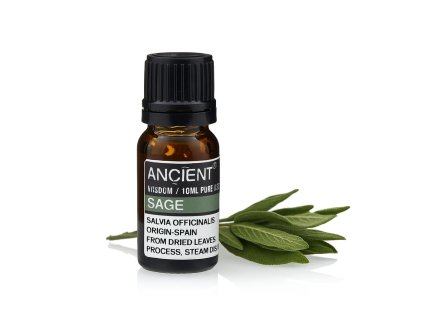 1A1A68DE 7372 4C55 8CA0 AFA04A3E47FE