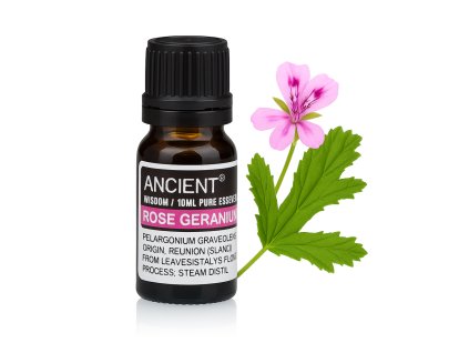 A23A1B9F 505A 4DDC AA49 89E3F70CDA59