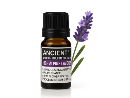 2EC14848 8517 4770 9134 1B32CA35DDB4