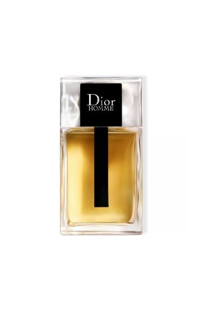 dior dior homme toaletni voda pro muze 100ml