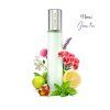 3392 1 neness green tea