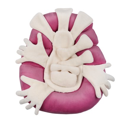 Neobed Intensive+ inner component Hugging Hands 3(Pink)