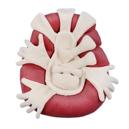 Neobed Intensive+ inner component Hugging Hands 3(Red)