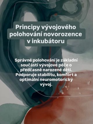 Správné polohování patří mezi základní principy vývojově orientované péče na neonatologii. Předčasně narozené dítě...