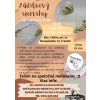 Zazitkovy workshop Trencin
