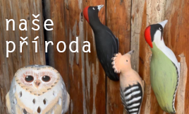 Keramické dekorace inspirované naší přírodou