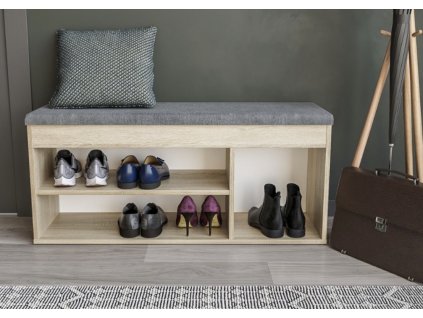 cabinet for shoes 100