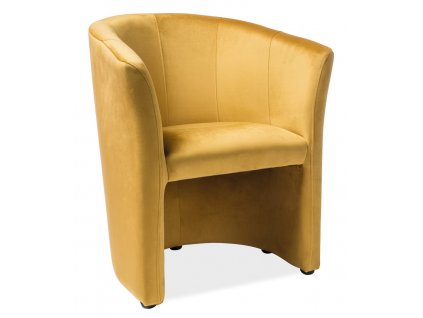tm1 velvet zolty dsc2698