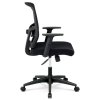 Kancelářská židle, houpací mechanismus, černá síťovina, KA-B1012 BK (Barva Černá)