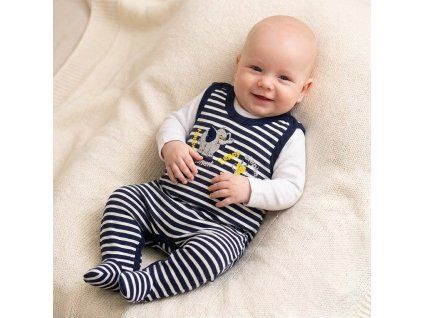 dupacky elefant foto