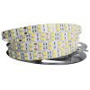 SJ-SMD5050 Flexibilní LED pás 24V, IP67, 28,8W/m, 120led/m, modrá