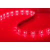 SJ-SMD3528 Flexibílny LED pás 12V, IP68, 4,8W/m, 60led/m (Farba LED Žltá, Krytie IP68)