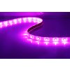 SJ-SMD3528 Flexibílny LED pás 12V, IP68, 4,8W/m, 60led/m (Farba LED Žltá, Krytie IP68)