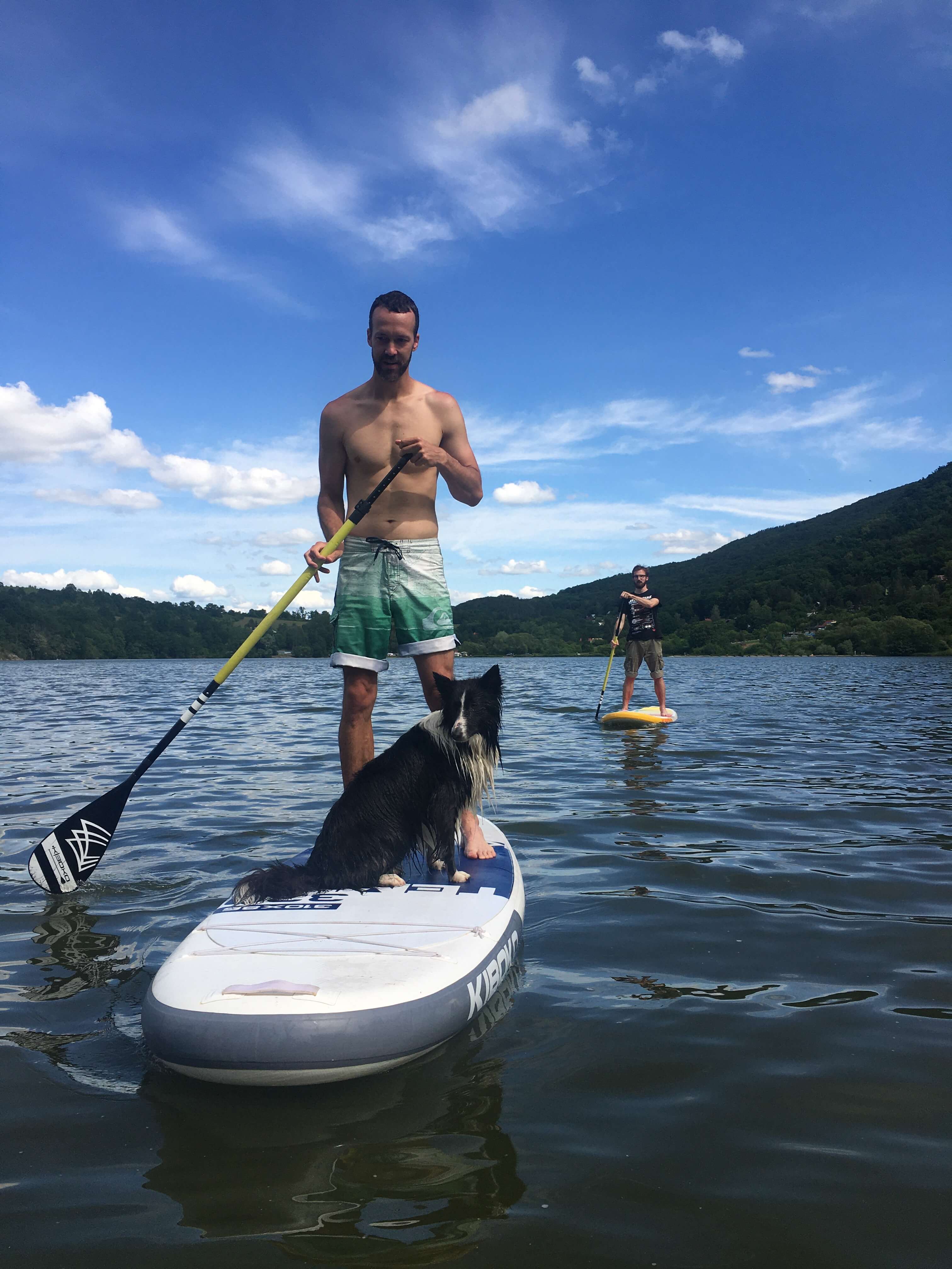 pes-na-paddleboarde