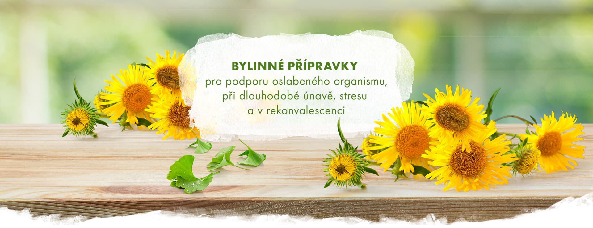 Uvodni banner