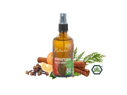 Natasha osvěžovač vzduchu Vánoční koleda