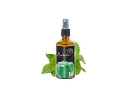 1045 natasha osvezovac vzduchu mint mint 100 ml