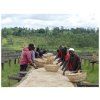 Burundi Scr. 15 UP