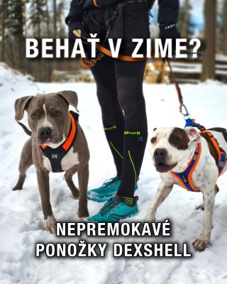 Prečo meniť svoje obľúbené, ľahké bežecké tenisky za ťažkú zimnú obuv, len čo napadne prvý sneh? S týmito nepremokavými...