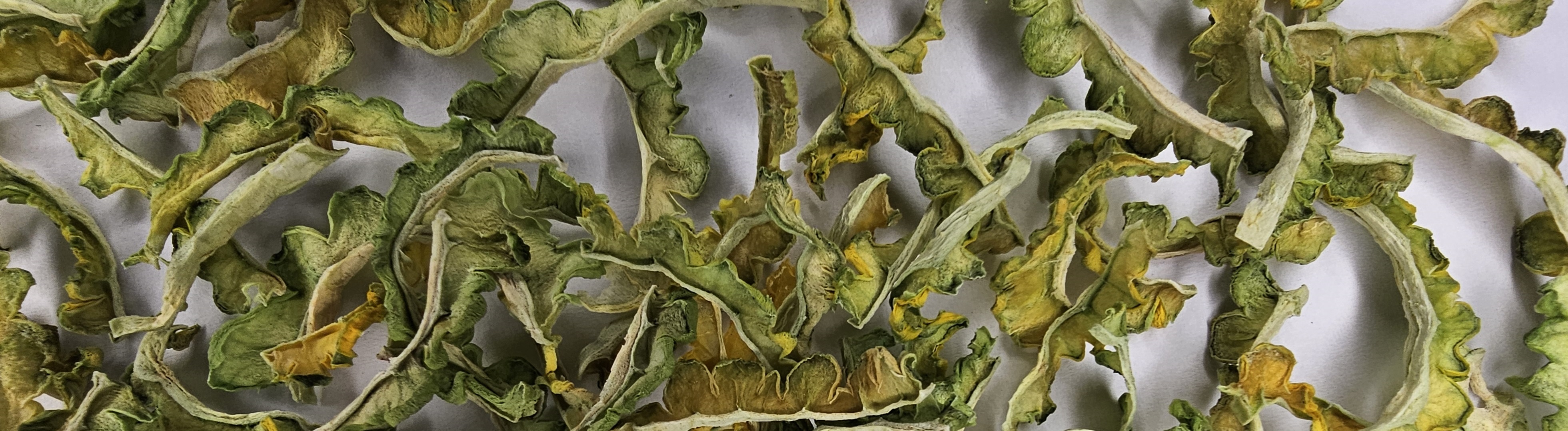 horky-meloun-bio-gong-fu-cha-NepustilTea.cz-exclusive-0vyrez_01