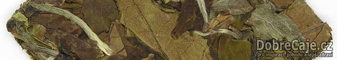 DobreCaje.cz_NepustilTea.cz_fuding_white_square_1160x206_b_01
