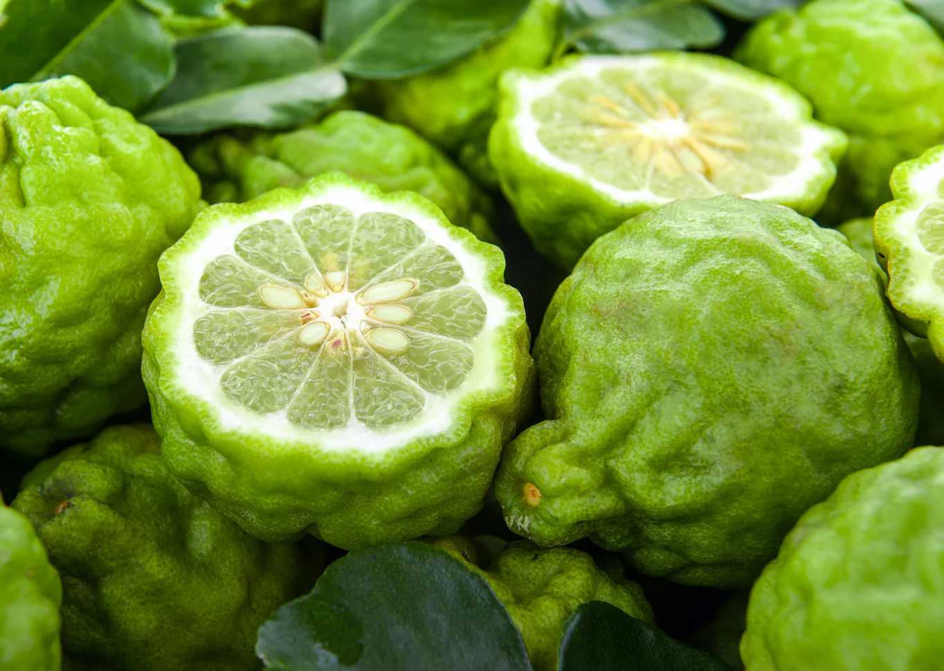 bergamot-fruit