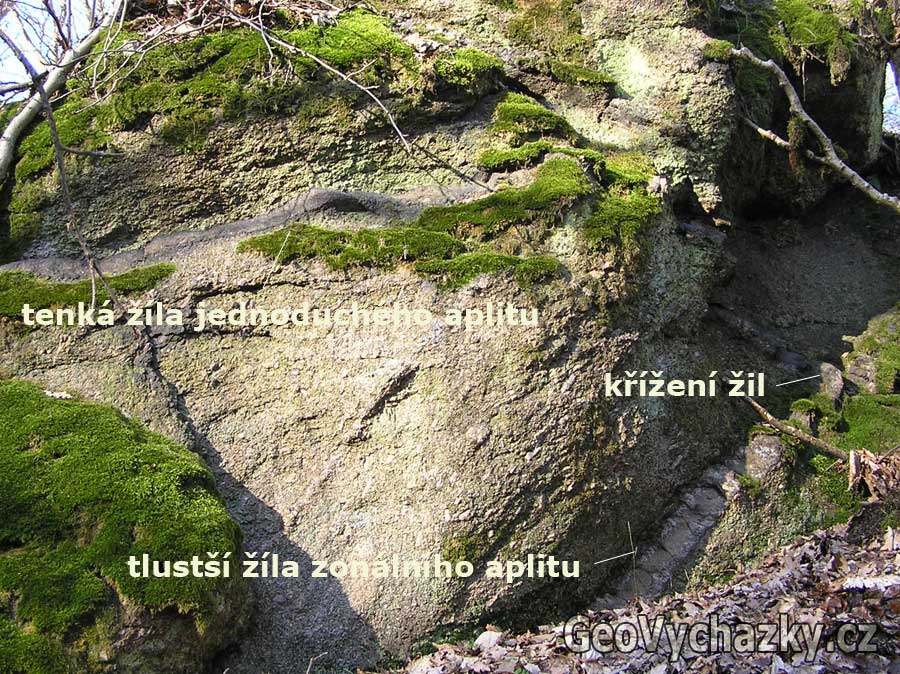 P1010130_GeoVychazky_GeologieAsska_Nepustil_Smrciny_krizeni_zil_aplitu_a_01_1