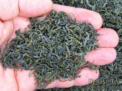 vietnamsky zeleny caj Thi Nguyen Early Spring Tea NepustilTea.cz dry leaf hand