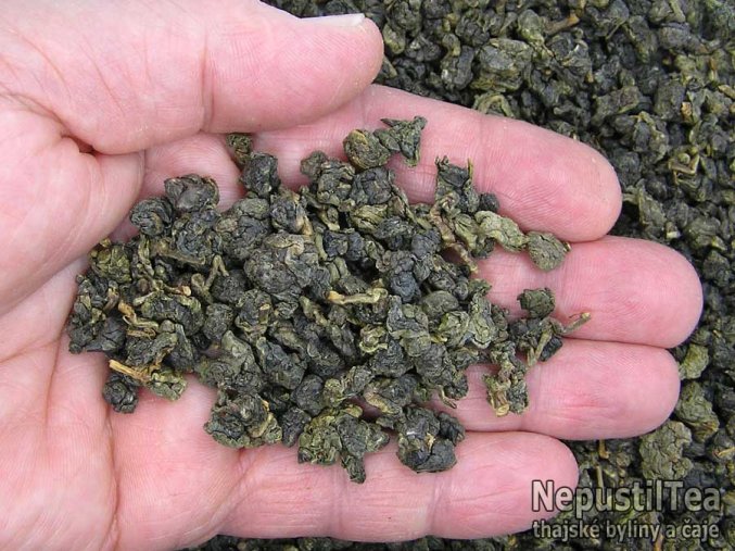 P1010054 NepustilTea.cz Four Season oolong a 01